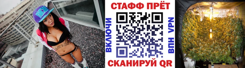 Гашиш Багратионовск