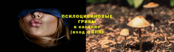 дживик Аркадак