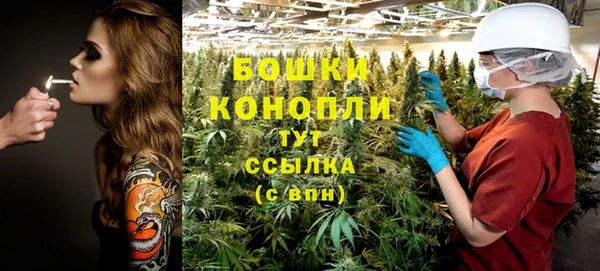 PSILOCYBIN Армянск