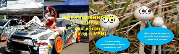 PSILOCYBIN Армянск