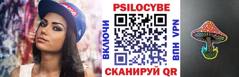 Галлюциногенные грибы Psilocybine cubensis  Багратионовск 